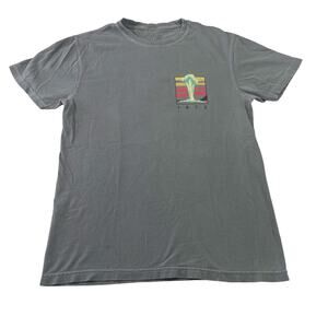 Yellowstone National Park Gray T-Shirt, Size Small, Old Faithful Geyser 1872